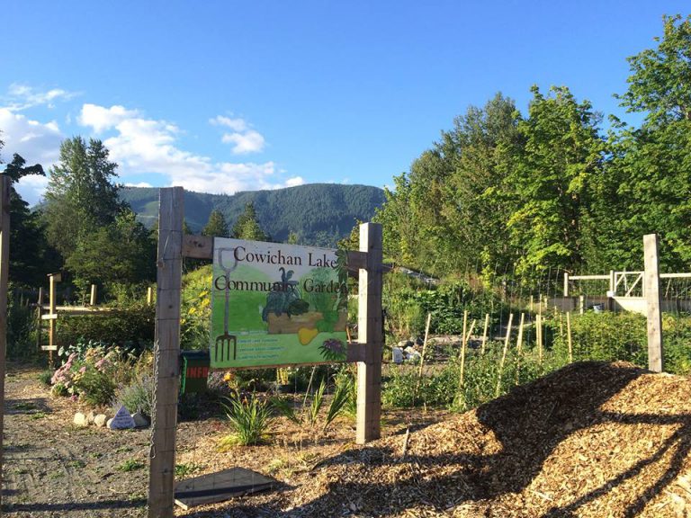 Cowichan Lake Community Garden Gets More Time