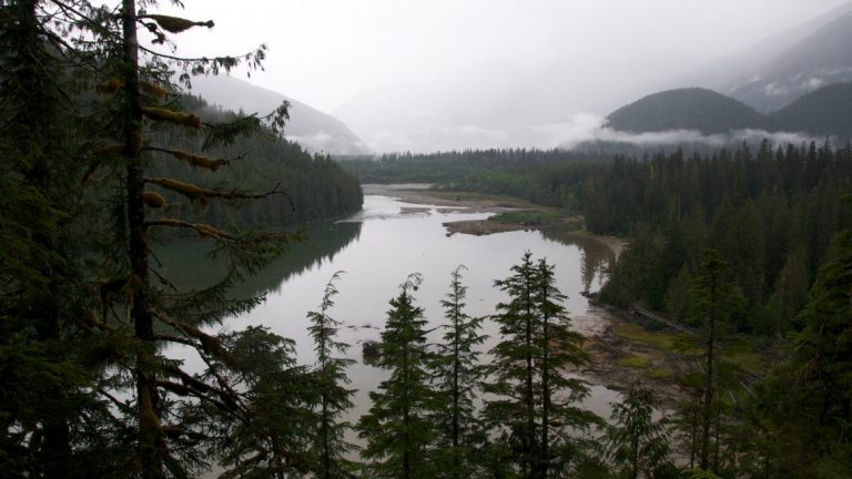 Great Bear Rainforest Recognized by Royal Family