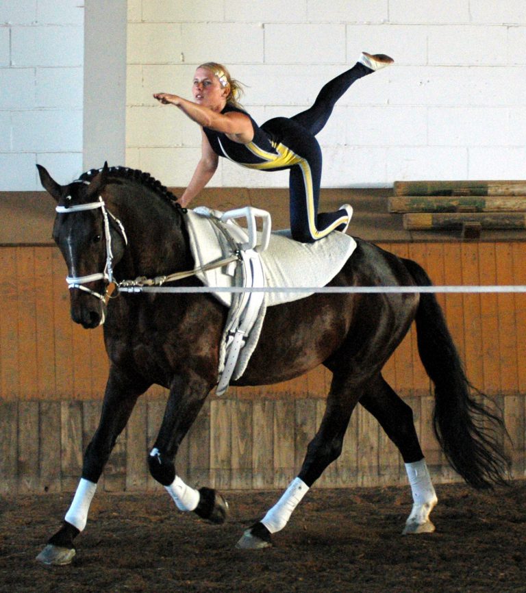 A Chance To See Equestrian Vaulting