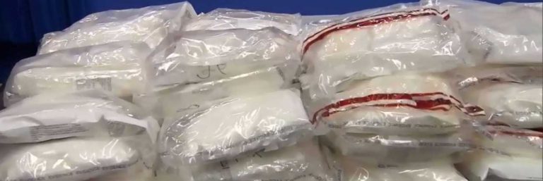 Major drug bust thwarts organized criminal activity, RCMP