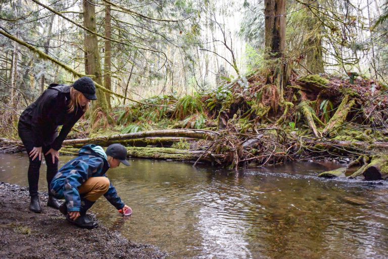 Crofton students release salmon