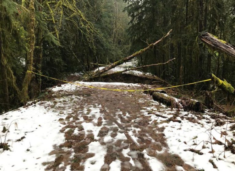 Washed out section of Cowichan Valley Trail could reopen this year