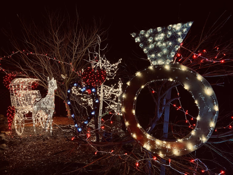 Vancouver Island Valentine’s display warming hearts through challenging times