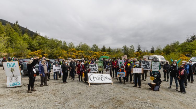 55 anti-logging protesters arrested Tuesday at Fairy Creek camp ...