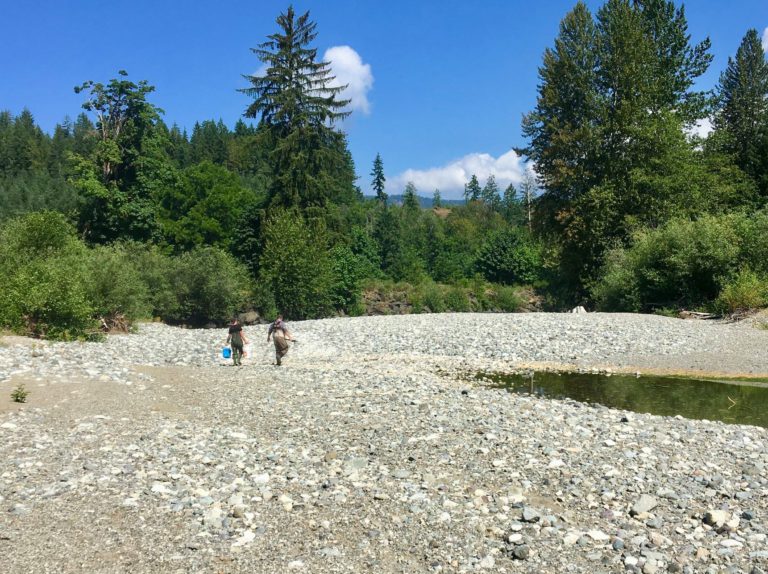 Release of Water into Cowichan River Drops to Lowest Level