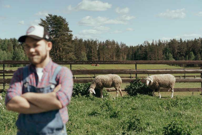 Financial support on the way for Island farmers, ranches dealing with ‘heartbreaking’ losses