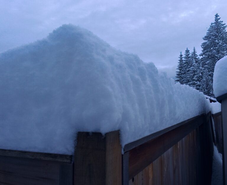 Winter Storm Dumps More than 30 Centimetres of Snow Overnight