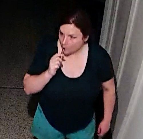 RCMP requesting help in locating Parksville break-in suspect 