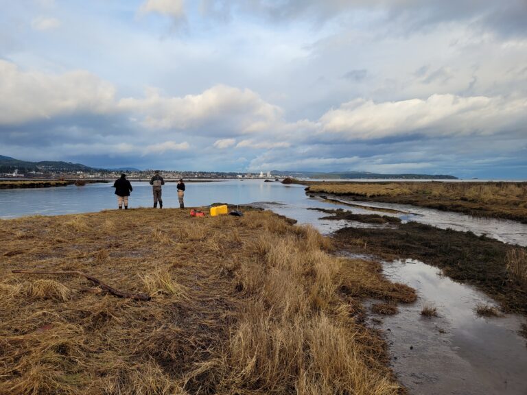 Island river restoration projects get UNESCO recognition