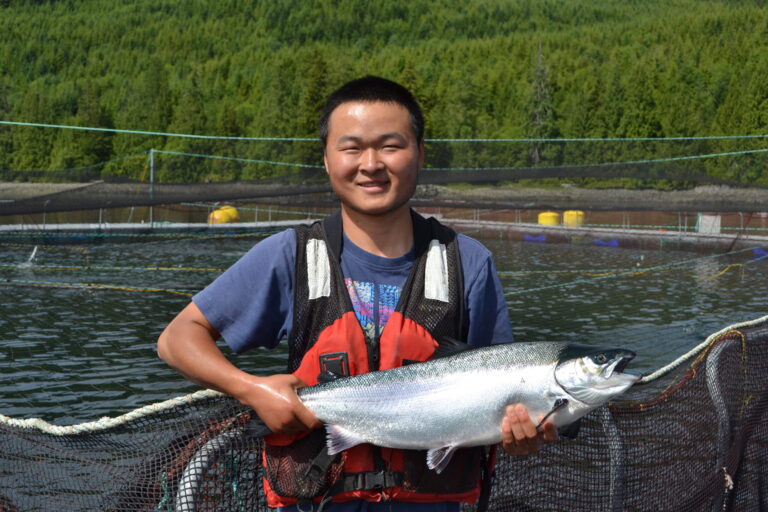 BC salmon farms get five-year deadline, Indigenous supporters upset by feds’ decision