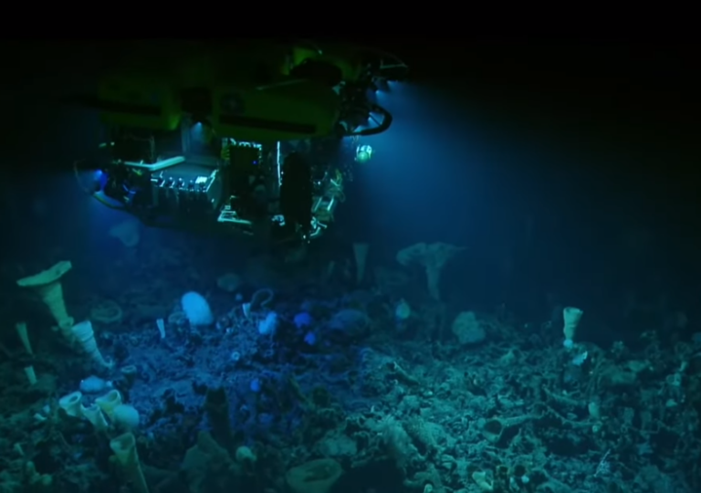 World-famous hydrothermal vents off Island’s coast protected in new MPA