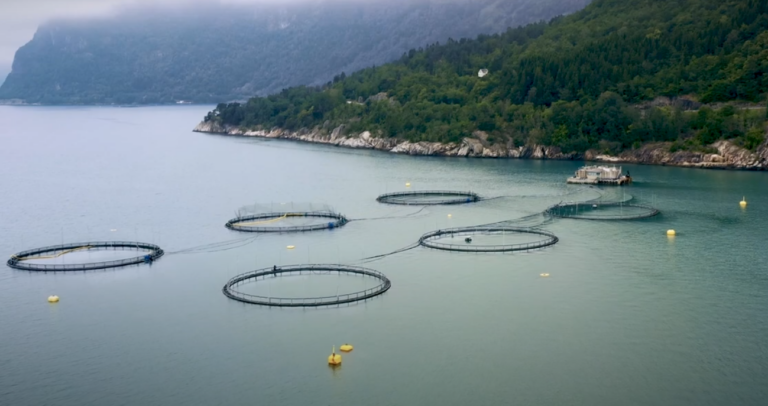 Salmon farming tech company expanding, thanks to new $21M investment