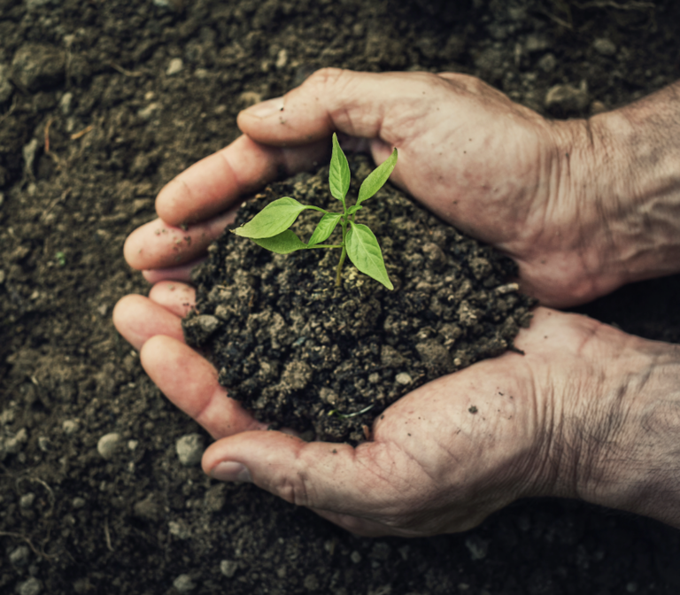 VIU Duncan gets a new science-based farming course 