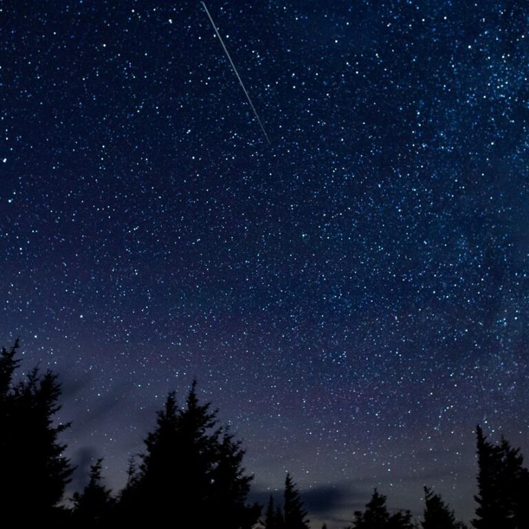 Perfect viewing conditions this weekend for Perseid meteor shower