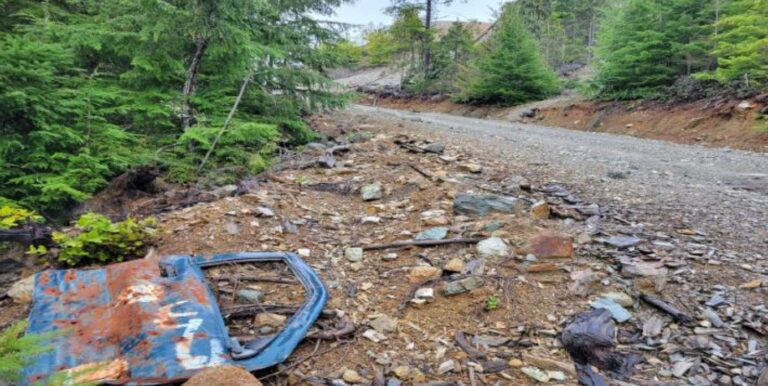 Extraction company plans to clean up “125 year old mess” on Mount Sicker