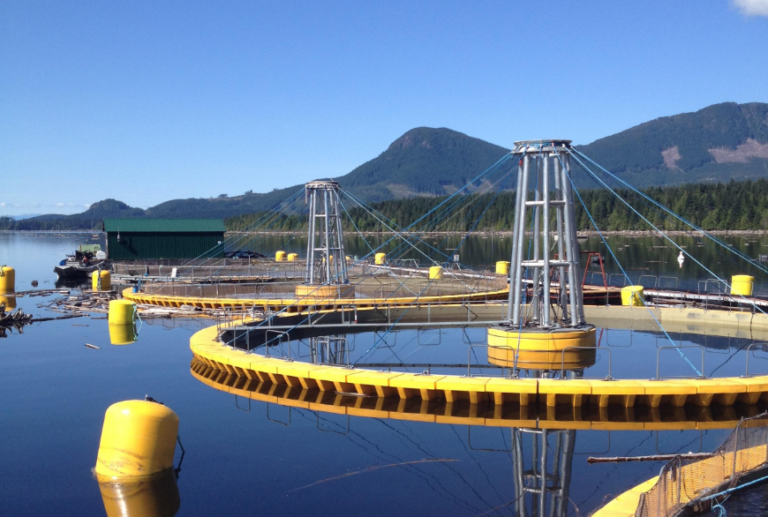 Closed-containment pioneer fined for violating aquaculture licence