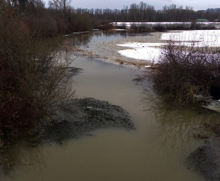 Cowichan Tribes Receives Funding for Flood Response