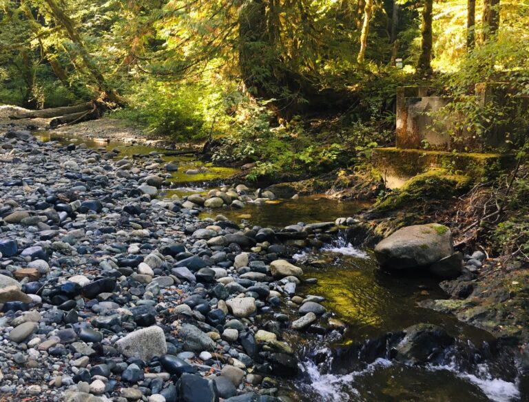 Green Party Proposes Water Stewardship Councils