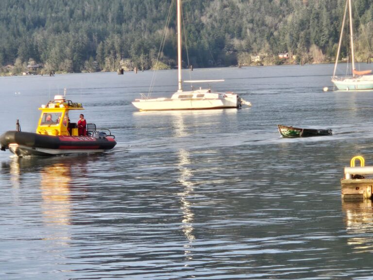 Man clinging to piling in Cowichan Bay rescued Saturday