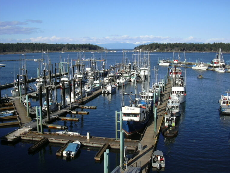 Island harbours getting new funding to make wharf and float repairs