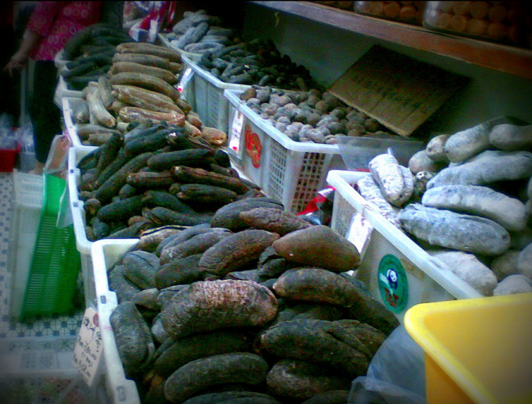 Early-morning boat chase leads to convictions for illegal sea cucumber harvests