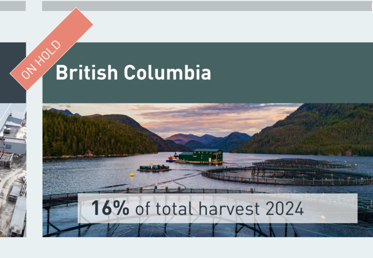 Salmon farmer putting BC investments on hold during political uncertainty