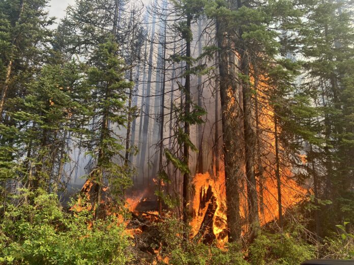 Over $35 million invested to help BC recover from 2024 wildfires